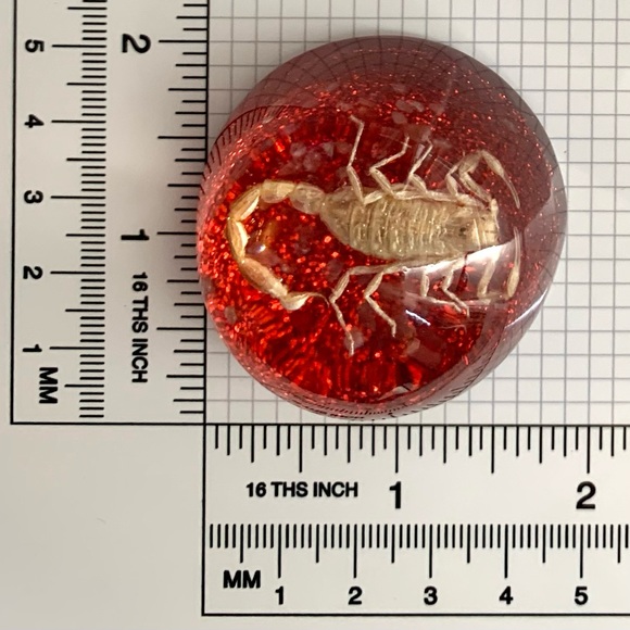 Scorpion Paperweight Acrylic Resin Dome Red Base with Glitter Felt Bottom - Picture 7 of 14